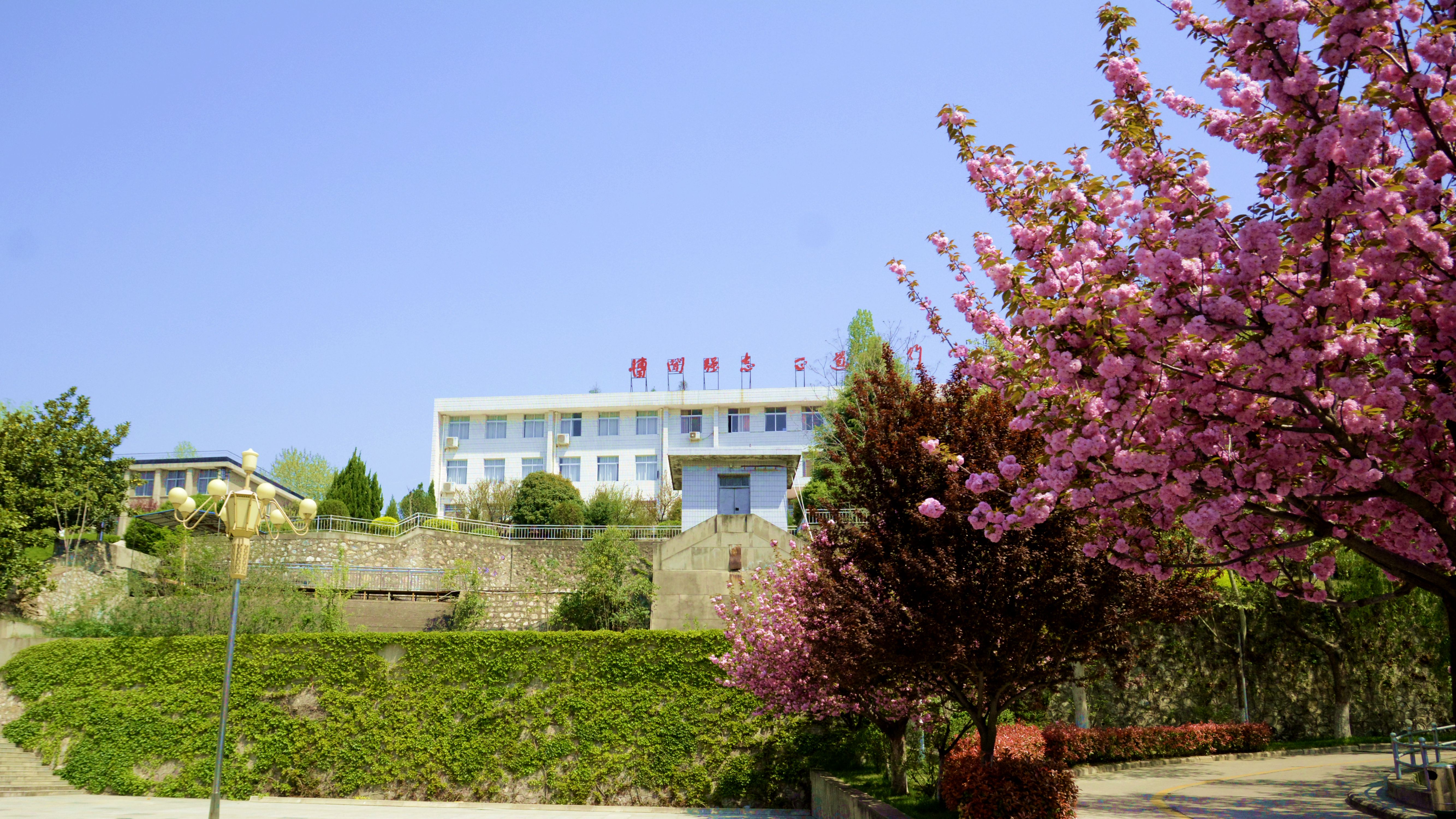 2020 春天里的校园-商洛学院